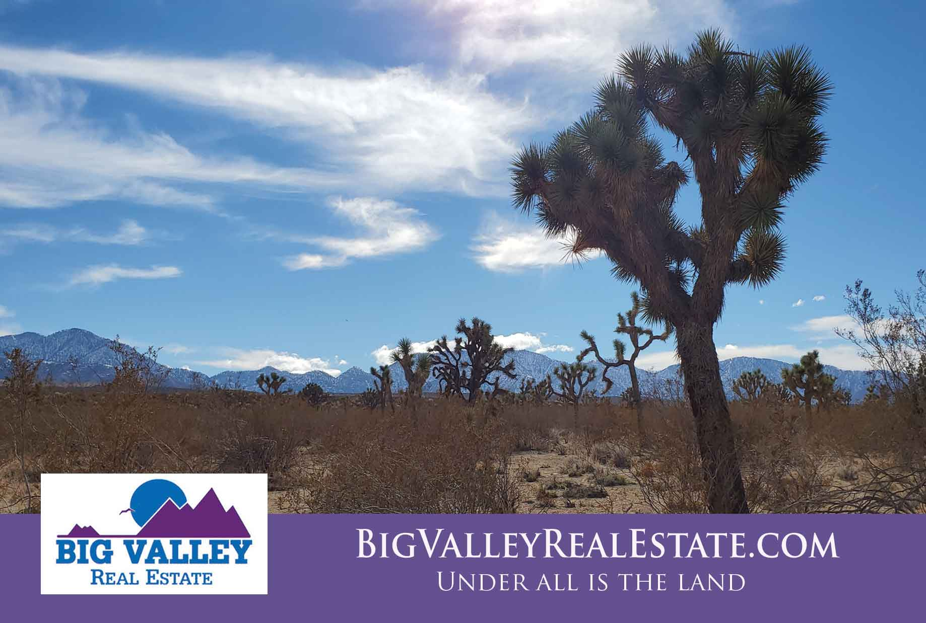 Resources & Due Diligence Big Valley Real Estate Your Real Estate